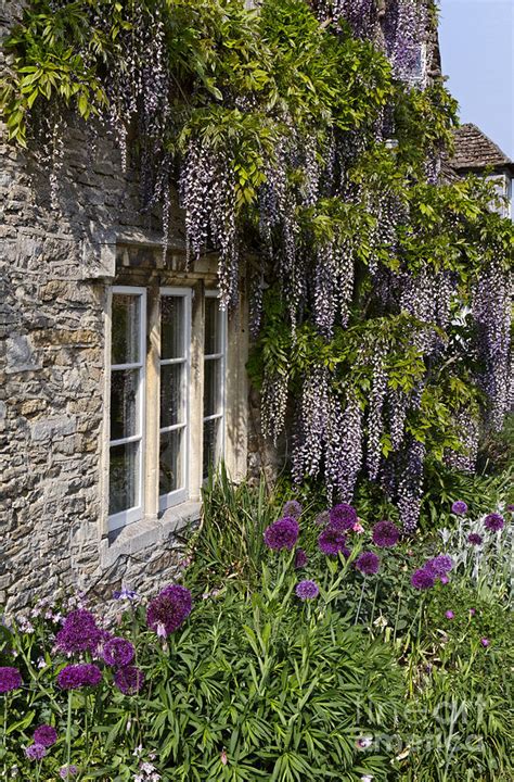 Plant Covered House Lacock Photograph by Robert Preston - Fine Art America