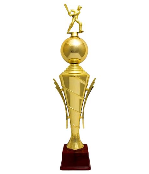 Acm Awards Gold Cricket Fiber Trophy - 20 Inches: Buy Online at Best ...