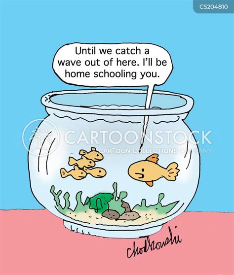 Fish School Cartoons and Comics - funny pictures from CartoonStock