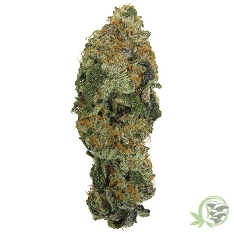 Buy Jealousy Sativa Dominant Hybrid in Canada