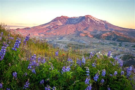 12 Top-Rated Hiking Trails at Mount St. Helens – Visit Mt St Helens