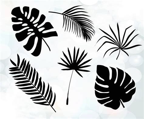 Palm Leaves Cuttable Design Tree leaves svg Tropical svg