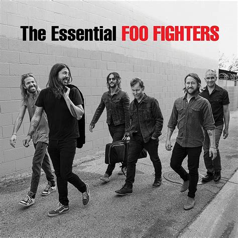 Foo Fighters Announce New Essential Album | Pitchfork