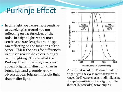 PPT - Human Color Perception PowerPoint Presentation, free download - ID:867806