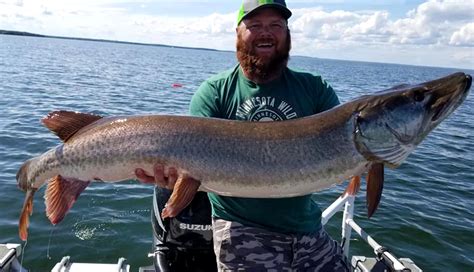 Minnesota Angler Catches State Record Muskie | Outdoor Life