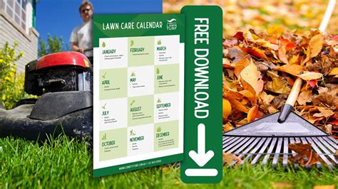 Free Lawn Care Calendar Download | Cobbitty Turf Supplies