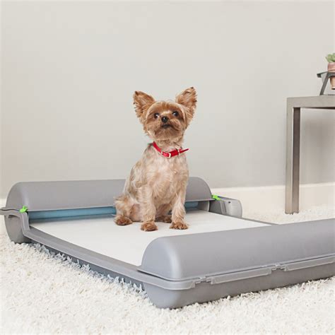 Brilliant Pad Self-Cleaning Automatic Indoor Dog Potty » Petagadget