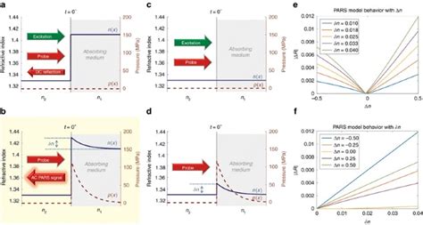 Non-interferometric photoacoustic remote sensing microscopy | Light: Science & Applications