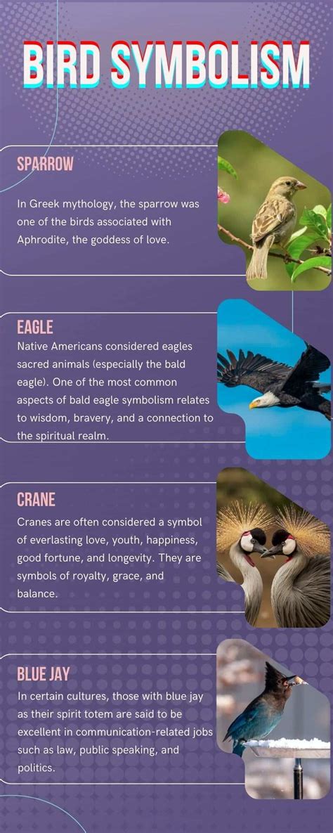 Bird symbolism: 10 common birds and their spiritual meaning - Legit.ng