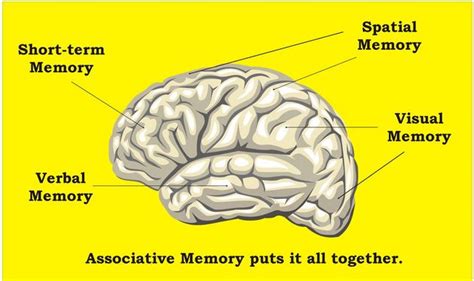 What is Visual Spatial Working Memory? – South County Child & Family Consultants