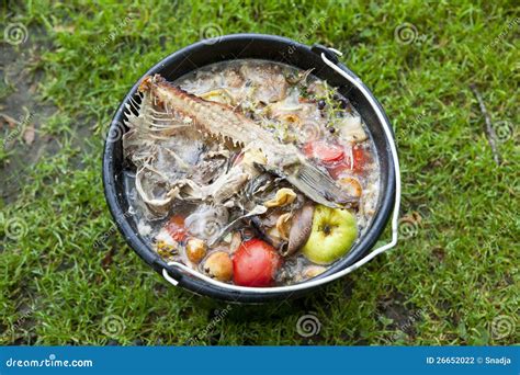 Slop-pail on the grass stock photo. Image of bones, colorful - 26652022