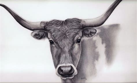 Portrait Drawing of a Longhorn. Hand Drawn Portraits From Your Photographs - macsportraits.com ...