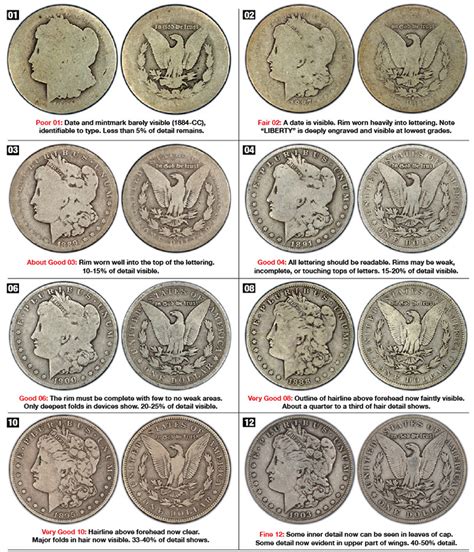 How To Grade Morgan Dollars: A Visual Guide - Cascade Coins