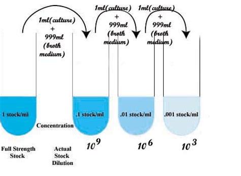 Bacterial culture procedure | Download Scientific Diagram