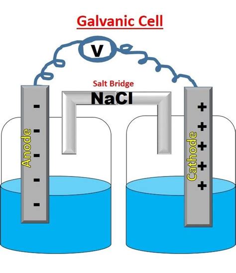 What is Galvanic Cell? | Galvanic cell, Electrochemistry, Science biology