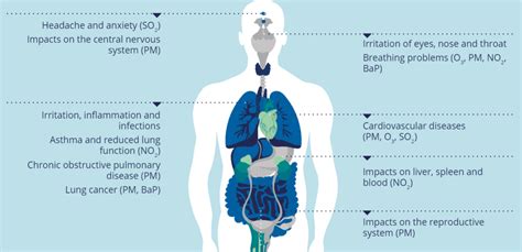 Health impacts of air pollution