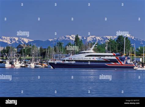 Victoria Clipper passenger ferry enters Victoria harbor, Small boat marina and Olympic Mountains ...