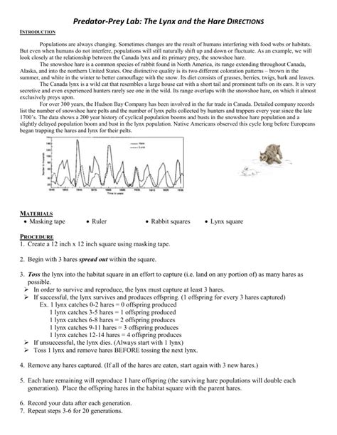 predator-prey simulation