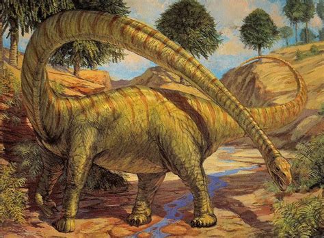 Mamenchisaurus | Prehistoric animals, Prehistoric world, Prehistoric wildlife