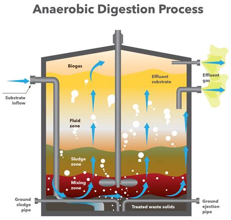 Six Reasons Anaerobic Digesters Aren't as Environmentally Friendly as You Think - Power Knot