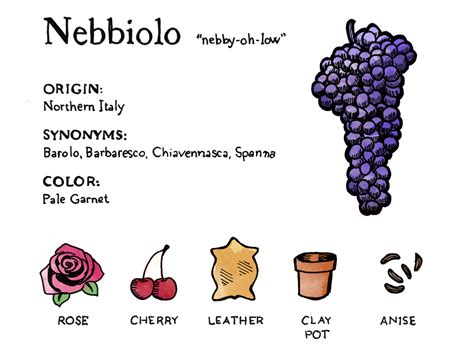 Featured Wine: Nebbiolo | Wine Folly