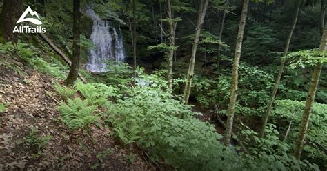 Catskills, Waterfalls Hikes | List | AllTrails