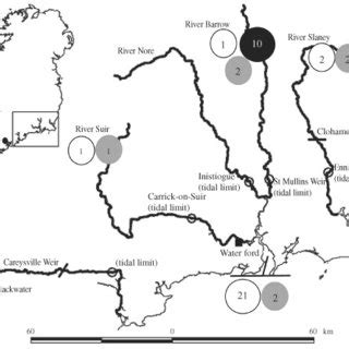 Map showing the capture locations of the Alosa spp. specimens for this ...