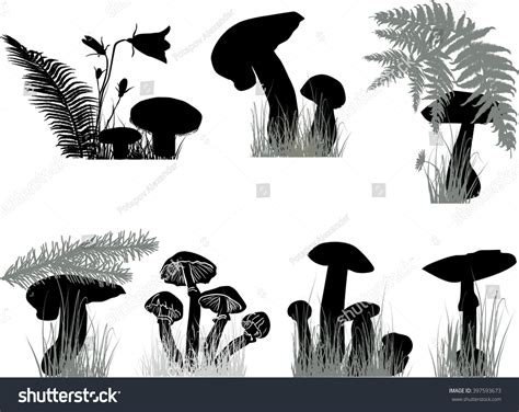 Illustration Mushrooms On White Background Stock Vector (Royalty Free ...