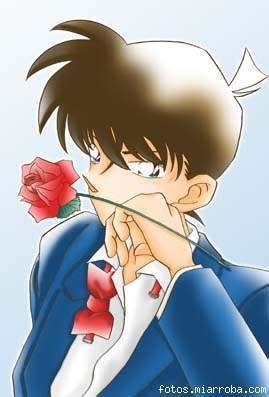 shinichi - Detective Conan Photo (10119527) - Fanpop