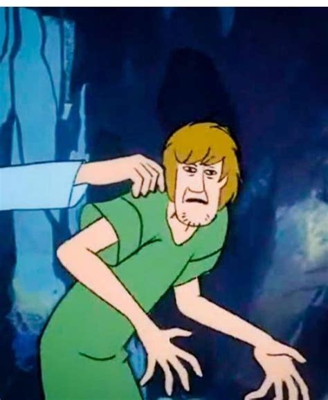 zoinks | Scooby doo memes, New scooby doo, Shaggy scooby doo