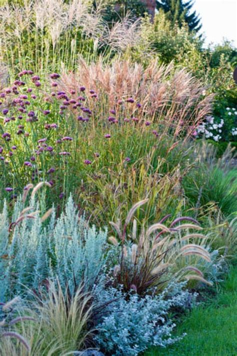 A Terrific Border with Ornamental Grasses | Siergras, Tuin, Siergrassen