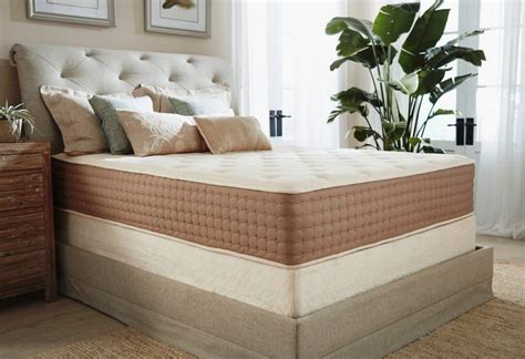 Best Eco-Friendly Mattress: Reviews and Buyer’s Guide