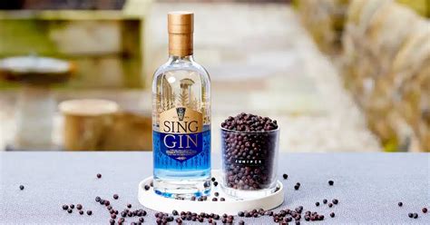 Juniper In Gin: What’s The Story? | Sing Gin