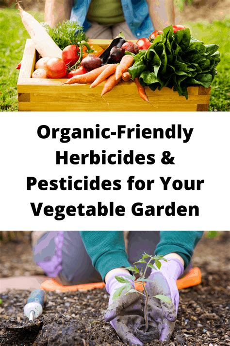 Organic-Friendly Pesticides & Herbicides for Your Vegetable Garden