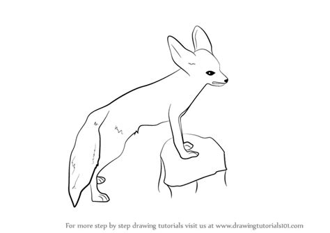 How to Draw a Fennec Fox (Wild Animals) Step by Step ...