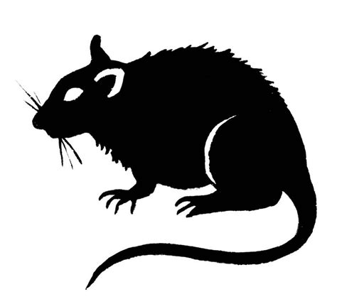 Possum Clip Art - ClipArt Best