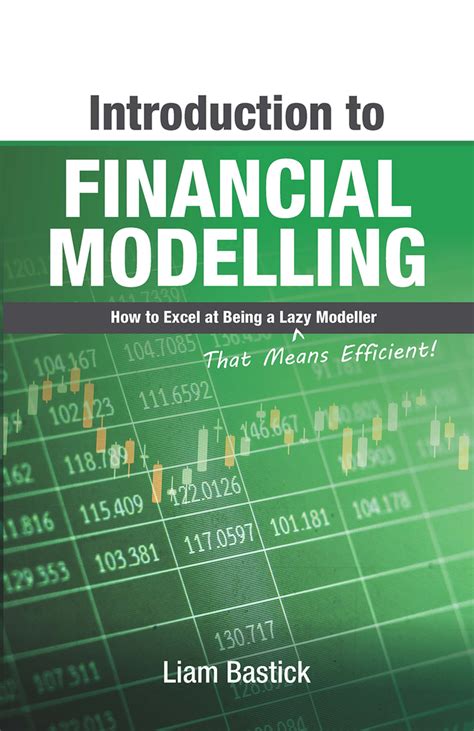 Introduction To Financial Modelling: How to Excel at Being a Lazy (That Means Efficient ...