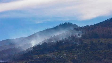 Tenerife: Thousands evacuated after wildfire breaks out on popular holiday island | World News ...