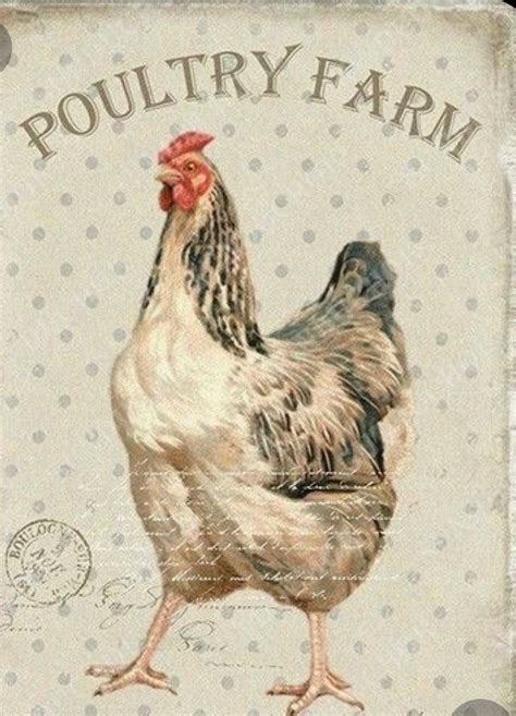 Pin by Света on farm house | Chicken art, Farm art, Rooster art