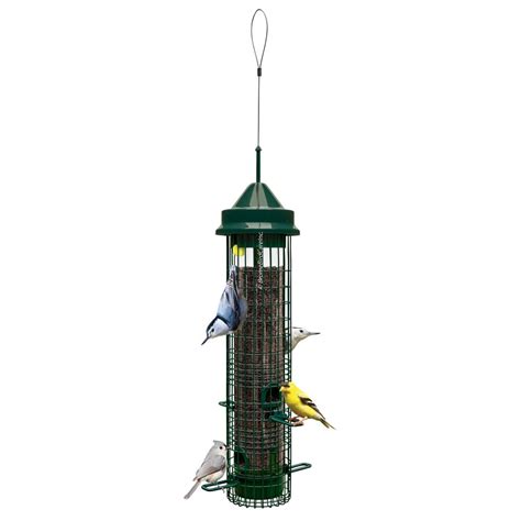 Squirel Buster Classic Hanging Metal Squirrel-Resistant Bird Feeder 2.4-lb Seed Capacity at ...