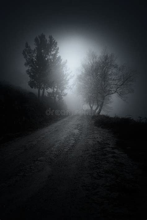 Mountain road at night stock image. Image of curve, asphalt - 30239463