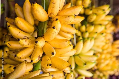 Stalks of ripe Señorita bananas on display together with other products at a public market in ...