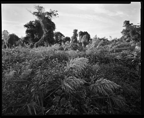 FLUSHING MEADOWS | new beginnings | Park Project Berlin