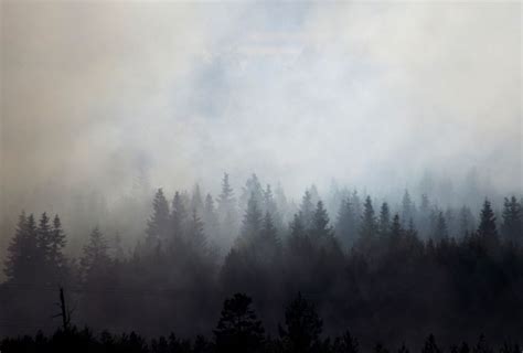 How does wildfire smoke affect our health? – ScienceBorealis.ca Blog