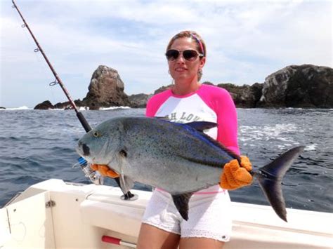 Bluefin Trevally Photos - Panama Fish Species - Come Fish Panama