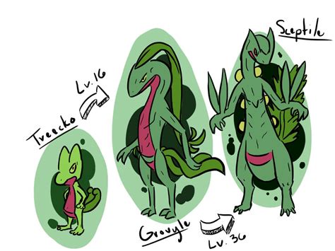 Treecko Evolution by lovelydove777 on DeviantArt