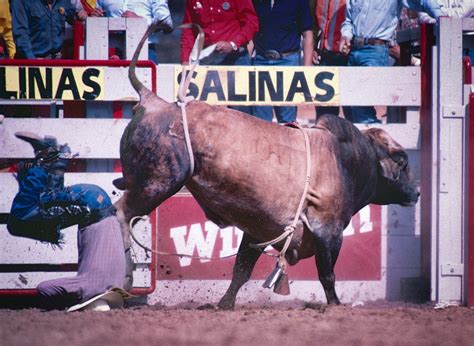 Salinas Rodeo 1986 WEB | Nature's Best :: by Don Smith