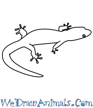 How To Draw A Lizard