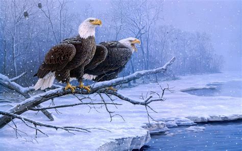 Winter Eagle Wallpapers - Top Free Winter Eagle Backgrounds - WallpaperAccess