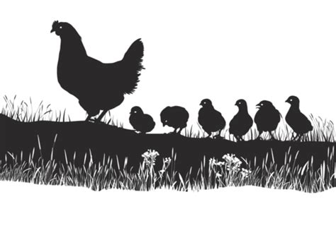 White Hen With Chick Animal Vector Meat Food Hand Vector, Meat, Food, Hand PNG and Vector with ...
